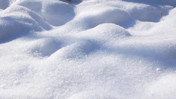 10 фактів про сніг: від використання в IT-інфраструктурі до снігу у космосі зображення 1