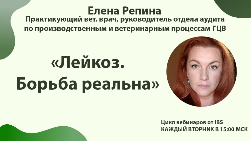 Елена Репина Личная Жизнь: подробности биографии и карьеры