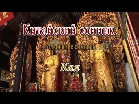 К Чему Снится Кал Женщине: Значение и Толкование Сновидения