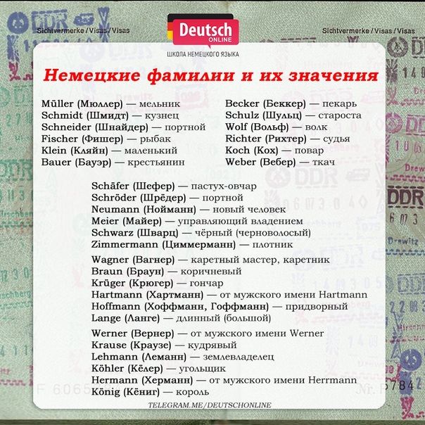 Ли Берлинская Национальность Родители: подробный обзор биографии и карьеры