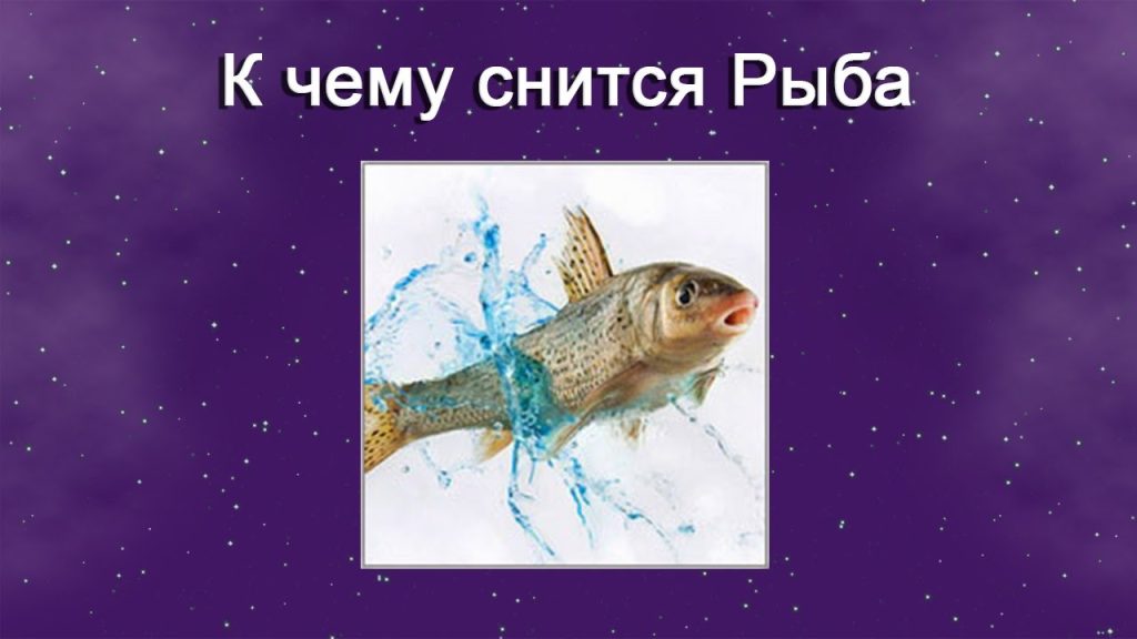 К Чему Снится Рыба: значение сна, символика и толкования