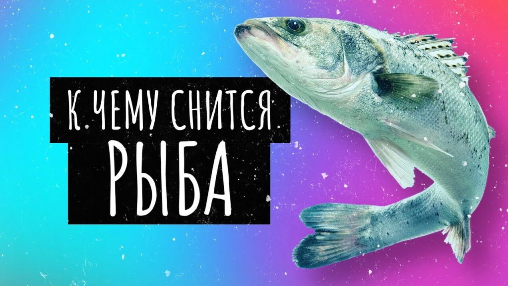 К Чему Снится Рыба: значение сна, символика и толкования
