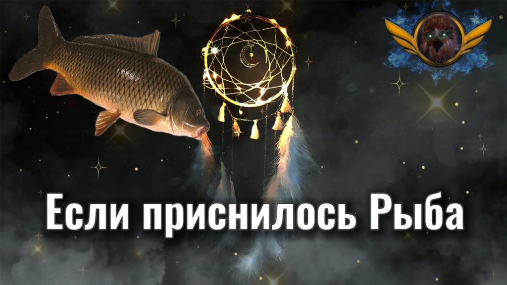 К Чему Снится Рыба: значение сна, символика и толкования