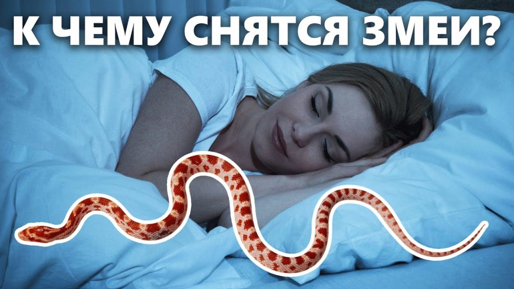 К Чему Снится Змея: Значение и Толкование Сновидения