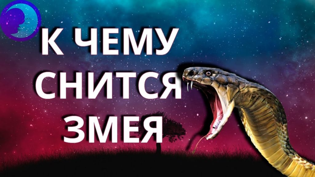 К Чему Снится Змея: Значение и Толкование Сновидения
