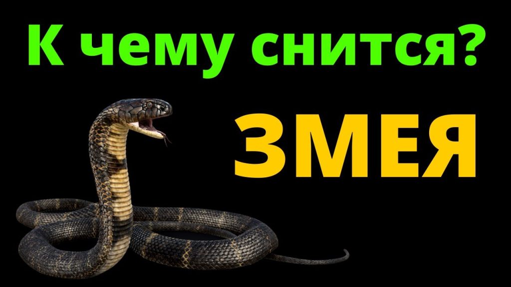 К Чему Снится Змея: Значение и Толкование Сновидения