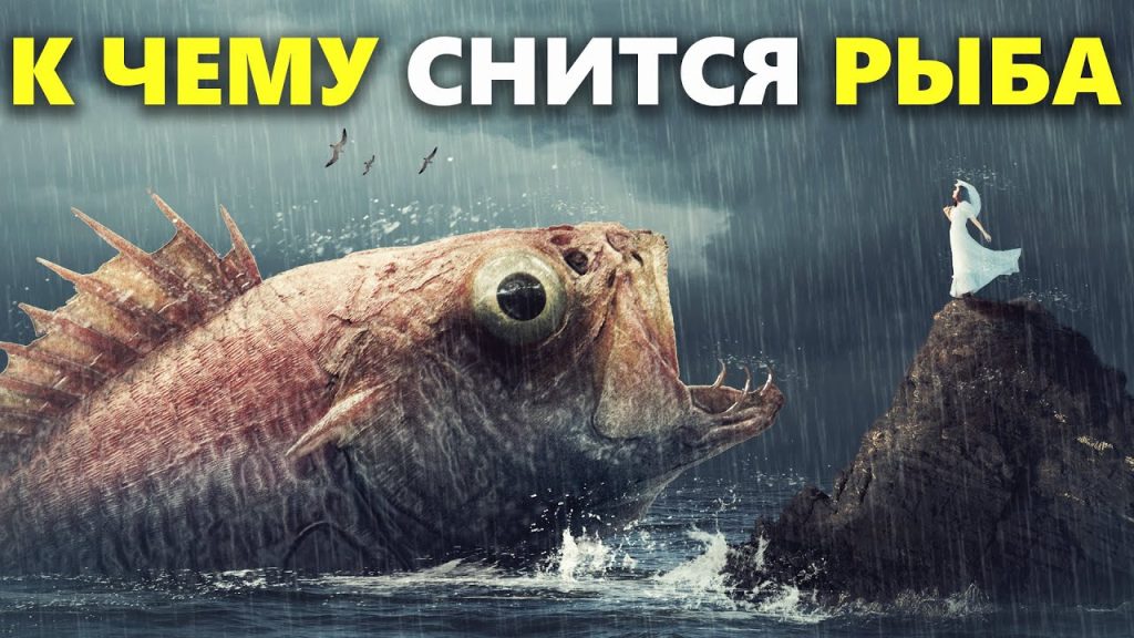 К Чему Снится Рыба: значение сна, символика и толкования